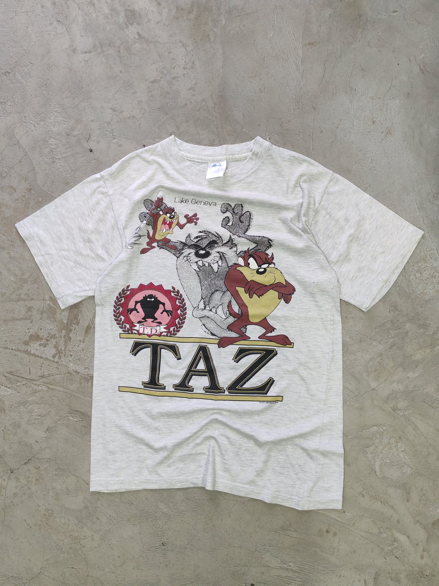 Taz Mania Lake Geneva Tee Grey – M