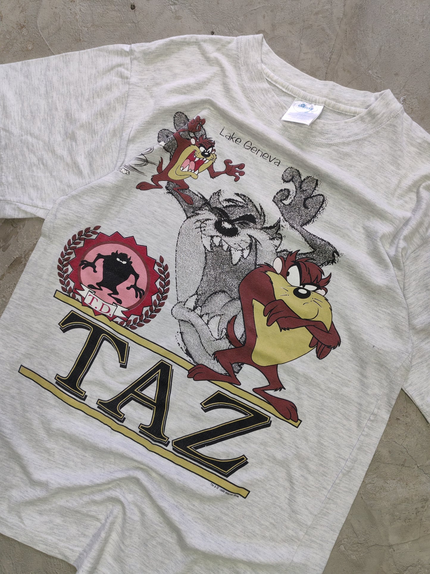Taz Mania Lake Geneva Tee Grey – M