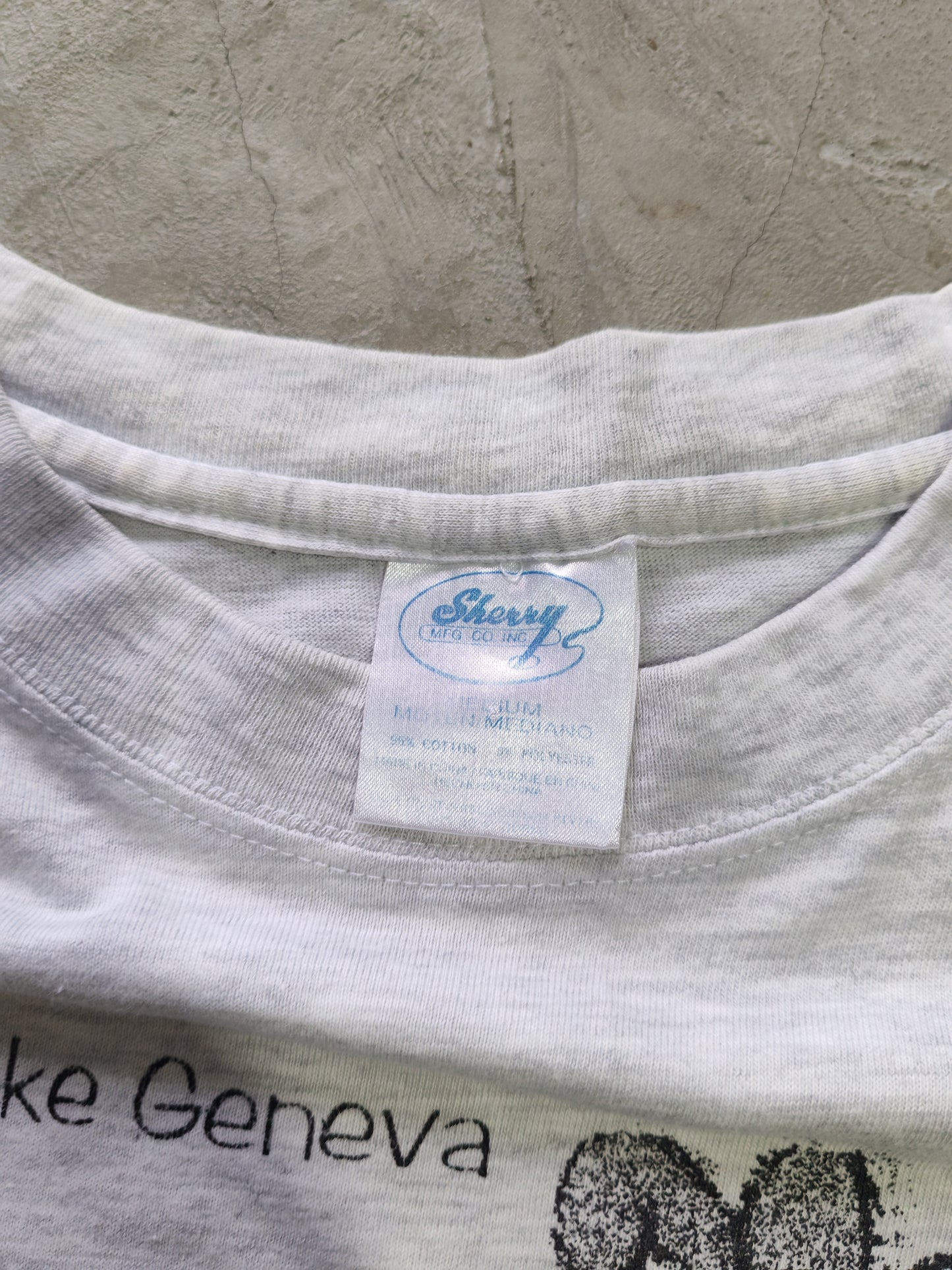 Taz Mania Lake Geneva Tee Grey – M
