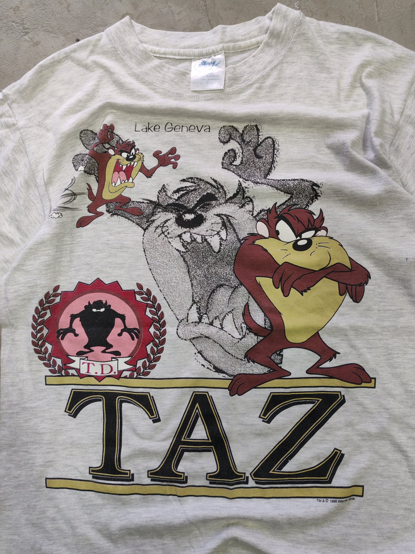 Taz Mania Lake Geneva Tee Grey – M