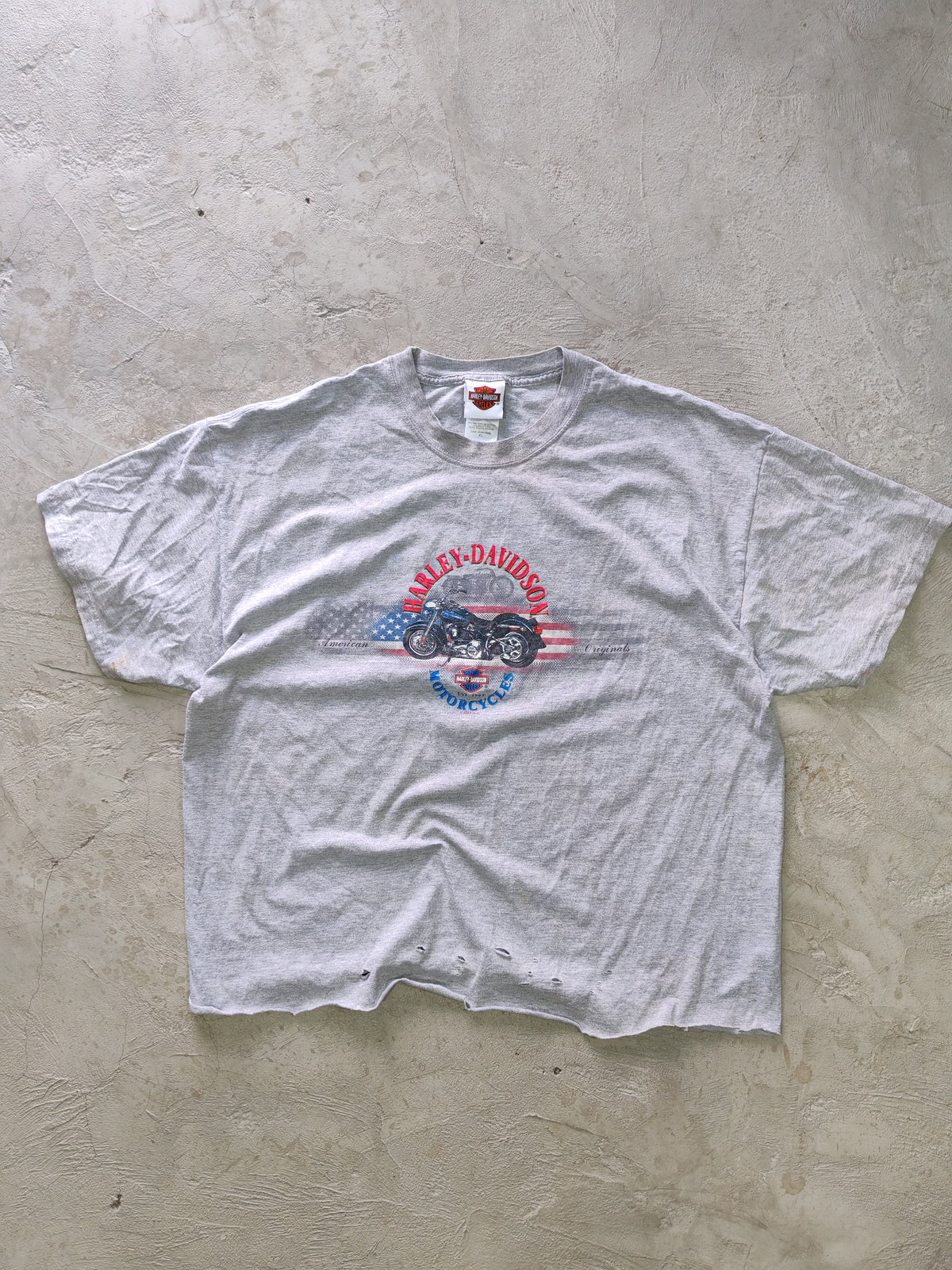 Tee Harley-Davidson Gris — Talla L