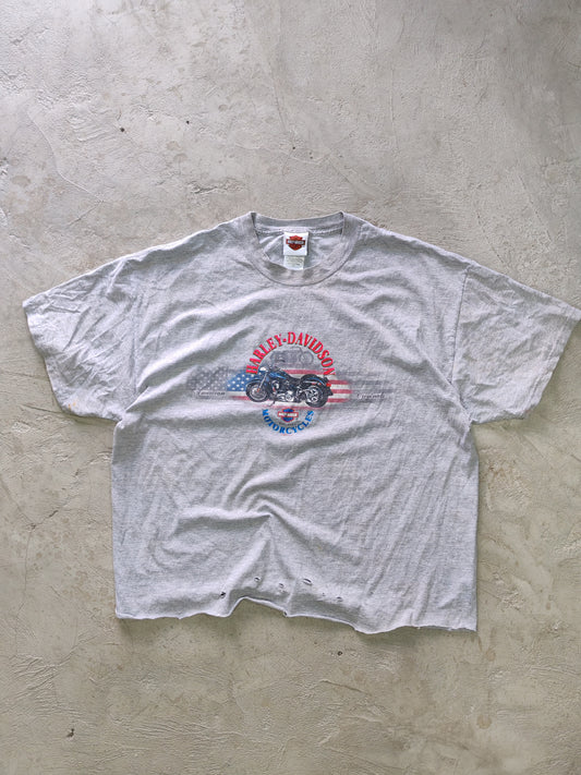 Tee Harley-Davidson Gris — Talla L