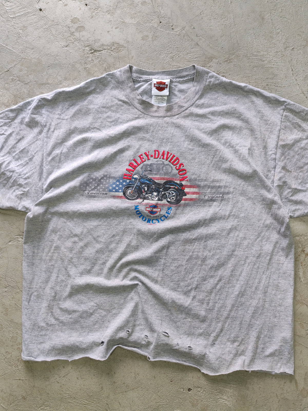 Tee Harley-Davidson Gris — Talla L