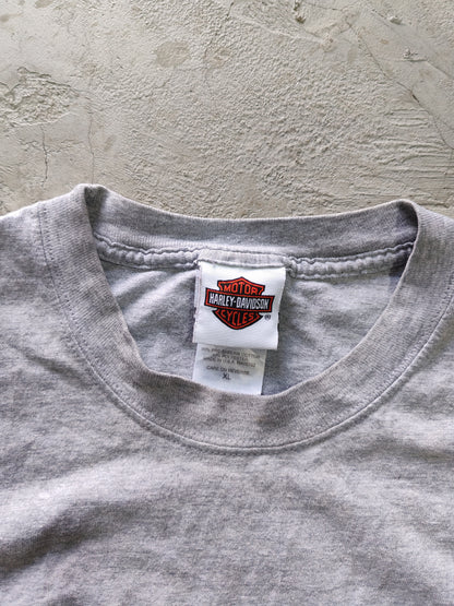 Tee Harley-Davidson Gris — Talla L