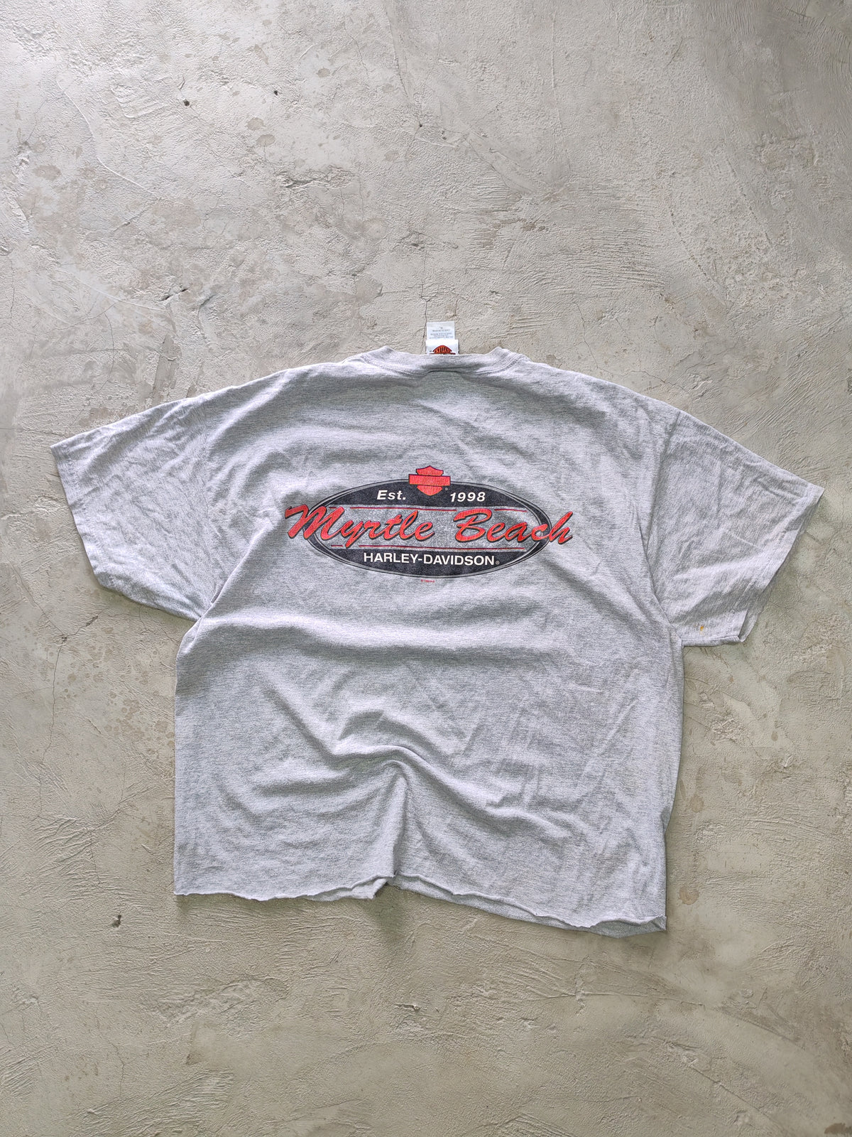 Tee Harley-Davidson Gris — Talla L