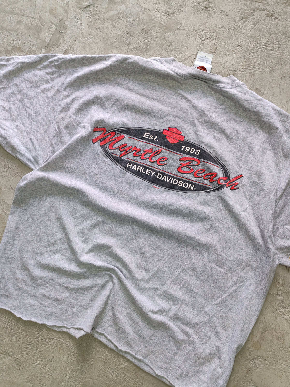 Tee Harley-Davidson Gris — Talla L