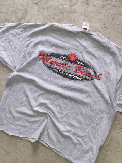 Tee Harley-Davidson Gris — Talla L